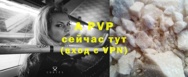 прущие грибы Инсар