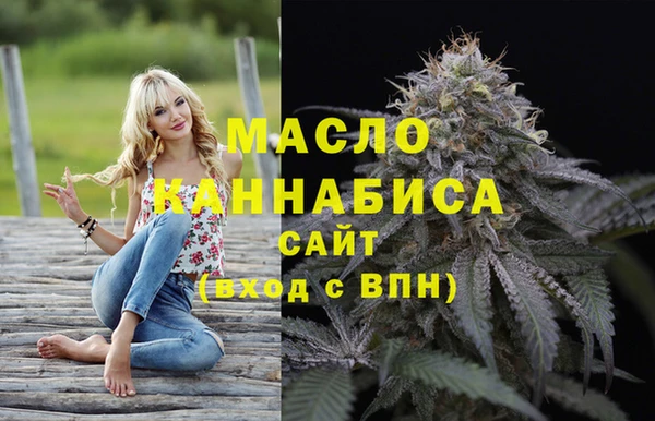 индика Иннополис