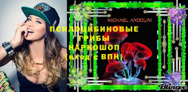индика Иннополис