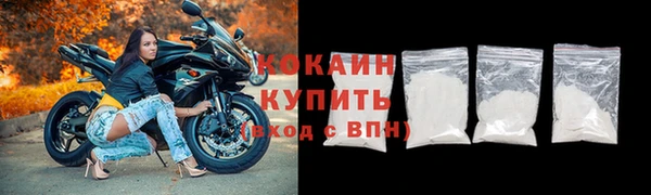 индика Иннополис