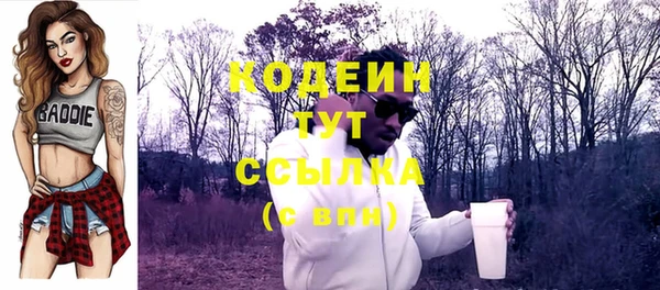 спиды Инта