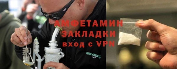индика Иннополис