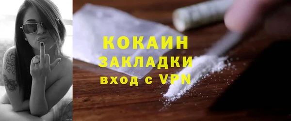 прущие грибы Инсар
