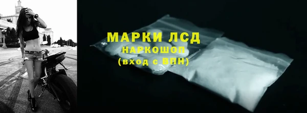 прущие грибы Инсар