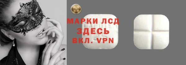 прущие грибы Инсар