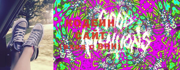 индика Иннополис