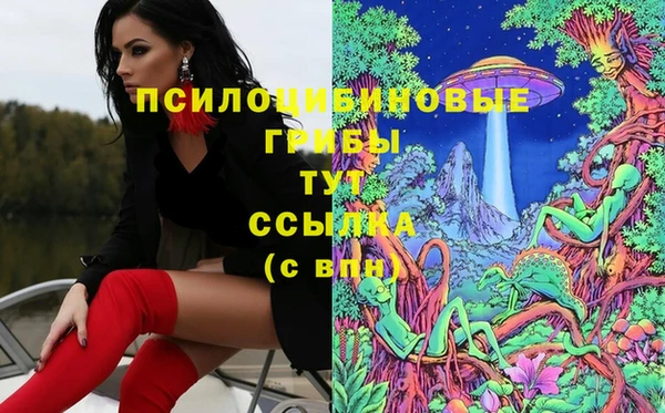 спиды Инта