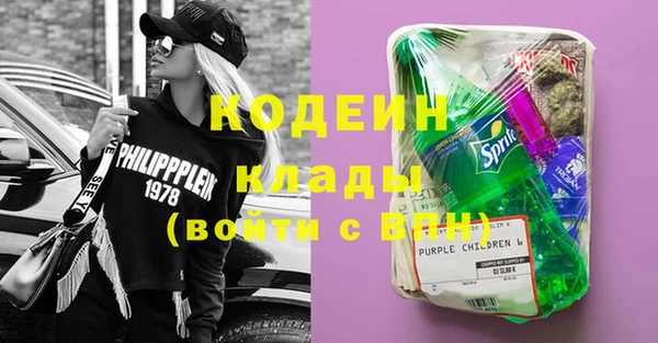 прущие грибы Инсар