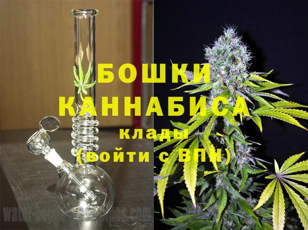 спиды Инта