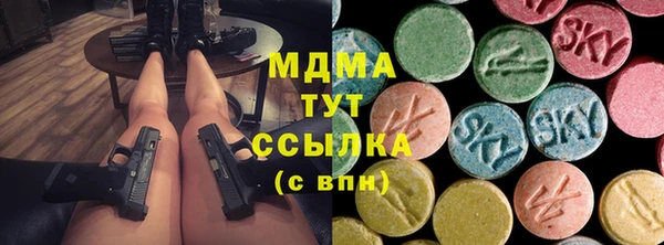 прущие грибы Инсар