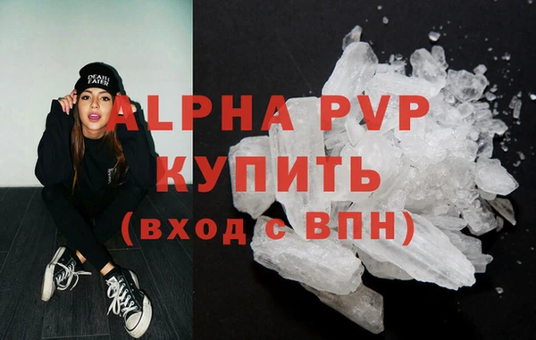 индика Иннополис