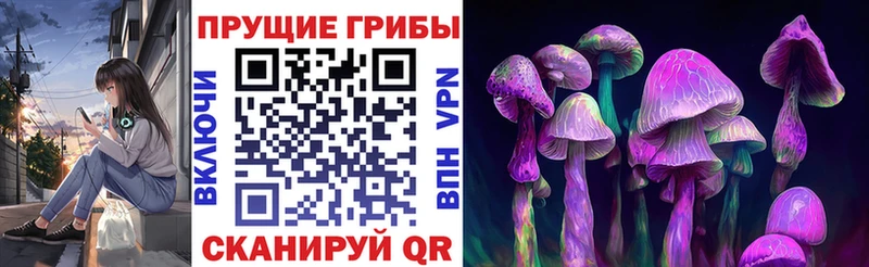Галлюциногенные грибы Psilocybine cubensis  Купить  Воронеж 